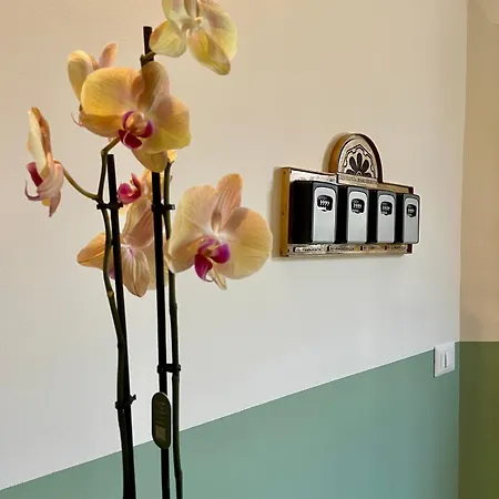 Residenza Margherita Bed and breakfast Montefiascone