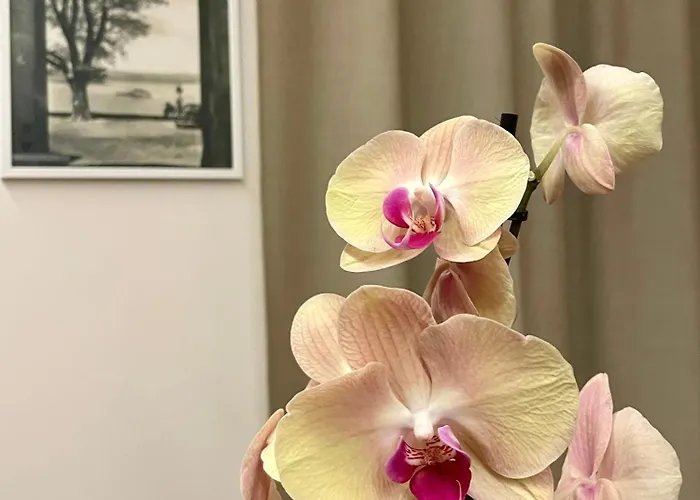 Residenza Margherita 3*